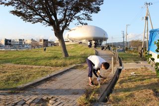 IMG_9017 IMG_9017