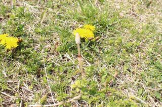 IMG_1664 IMG_1664
