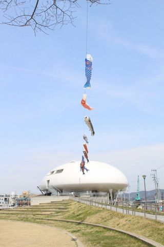 IMG_1666 IMG_1666