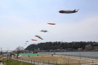 IMG_1678 IMG_1678