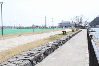 IMG_1668 IMG_1668