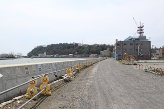 IMG_1698 IMG_1698