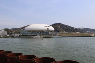 IMG_1690 IMG_1690