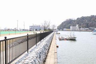 IMG_1667 IMG_1667