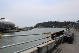 IMG_1700 IMG_1700